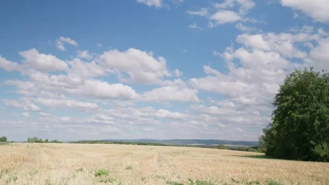 The Harvested Wheat Field Under Cloudy Sky Stock-Footage 345878682