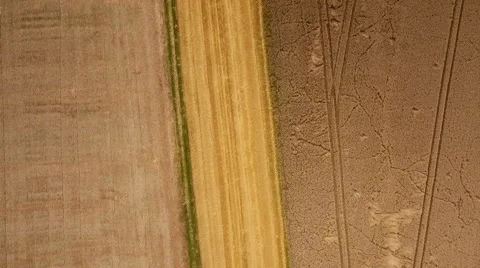 Harvested wheat fields Видео 66038688