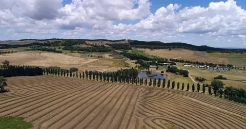 Harvested wheat fields in Mayfield of NSW, Australia – aerial 4k panorama. Stock Footage 159571001