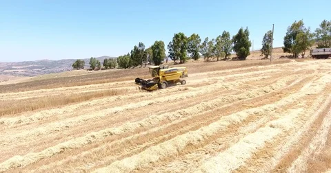 Harvester in action Stock Footage 76688535