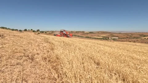 Harvester agricultural machine 動画素材 241543629