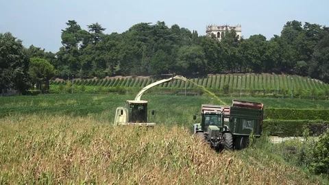 Harvester and tractor Stock Footage 79098275
