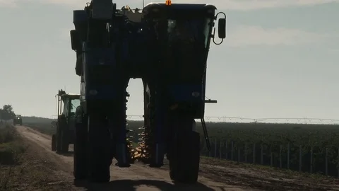 Harvester approaches camera on road at end of rows of grape vines, 4K. Stock Footage 81685535