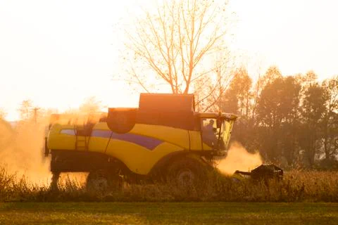 Harvester in back light work in a field at sunset Stock Photos