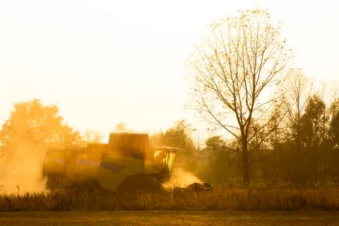 Harvester in back light work in a field at sunset Stock Photos