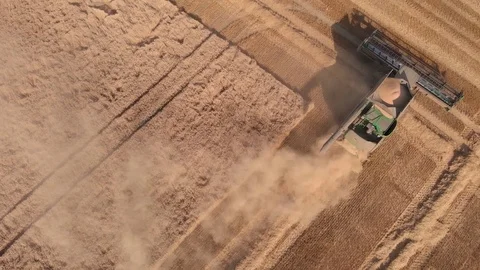 Harvester from bottom left Vídeos de archivo 116664515