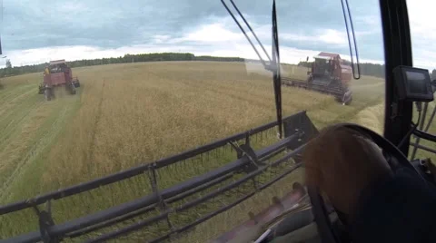 Harvester in the cockpit Video stock 53226040