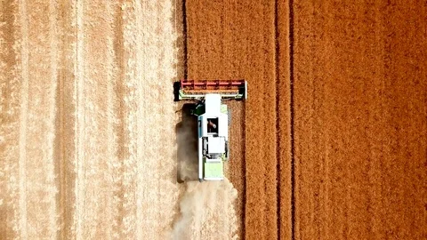 Harvester collects Stock Footage 111473334