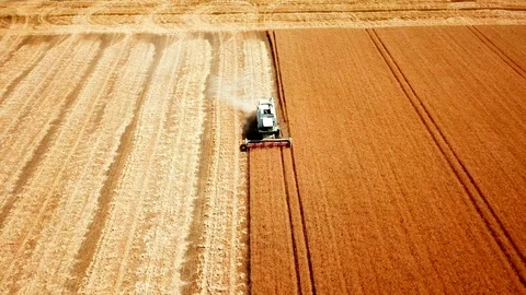 Harvester collects Stock Footage 111473386