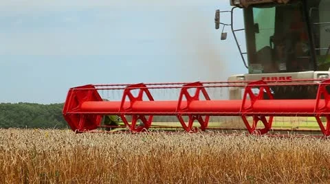 Harvester collects the wheat 動画素材 11056859