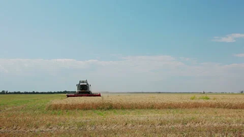 Harvester Collects Wheat 動画素材 106465951