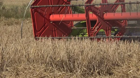 Harvester combine work in cereal crop field at summertime. 4K Stock Footage 69966271