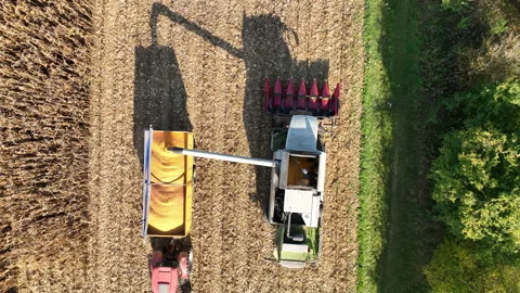 Harvester corn maize combine Zea mays pouring train trailer tractor drone aerial Stock Footage 268034396