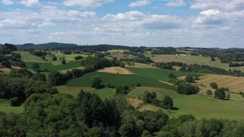 Harvester in the countryside Video stock 144306823