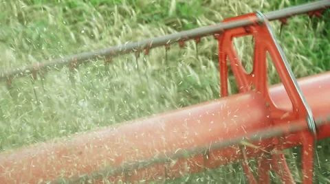 Harvester cropping wheat Stock Footage 45590793