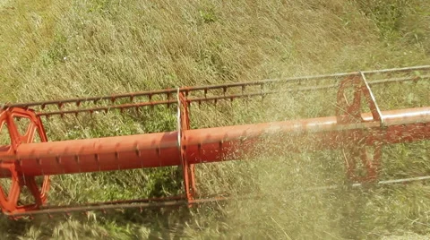 Harvester cropping wheat Stock Footage 45590829