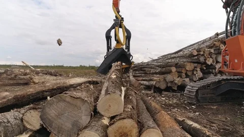 Harvester Cutting Tree Trunk in field near the forest Vídeos de archivo 127123552