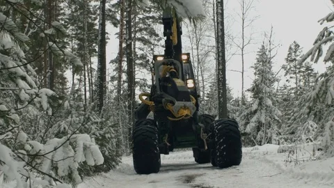 The harvester cutting trees Stock Footage 69966201