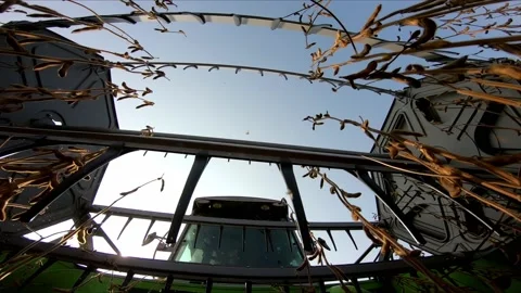 The harvester drives through the chamber, a close-up view of the bottom of the Stock Footage 158148317