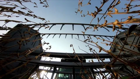 The harvester drives through the chamber, a close-up view of the bottom of the Stock Footage 158148407