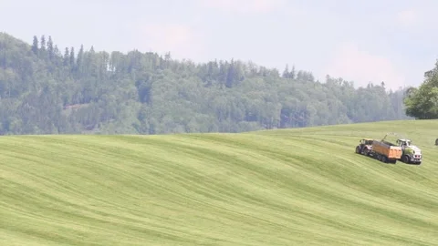 Harvester during grass cutting for silage in field. Stock Footage 274453214