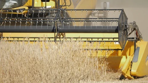 Harvester in the field 2 Stock Footage 119314960