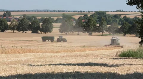 Harvester on field Stock Footage 44287862