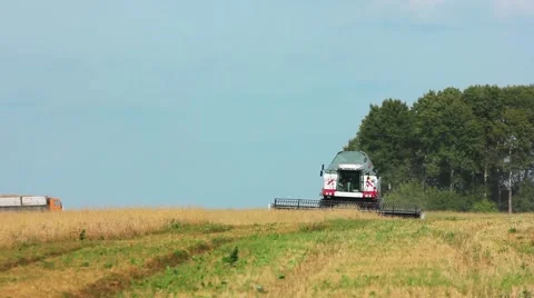 Harvester in the field Video stock 53311718
