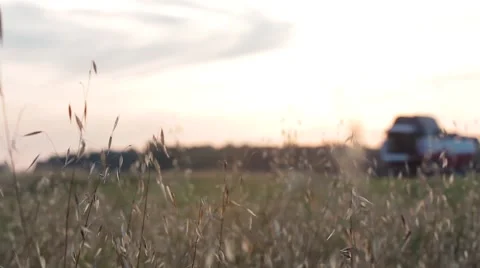 Harvester in the field Stock-Footage 53313318