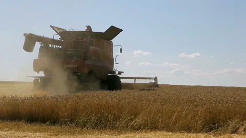 Harvester in the field Stock Footage 102169435
