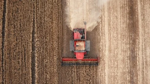 Harvester is in the field 스톡 동영상 112735206