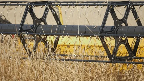 Harvester in the field Stock Footage 119315075