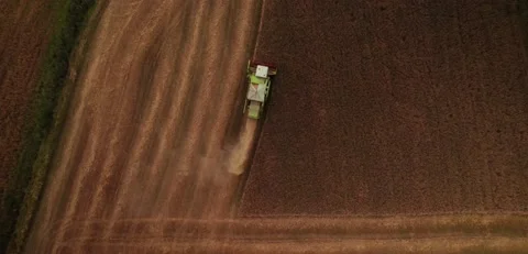 Harvester on the field Stock Footage