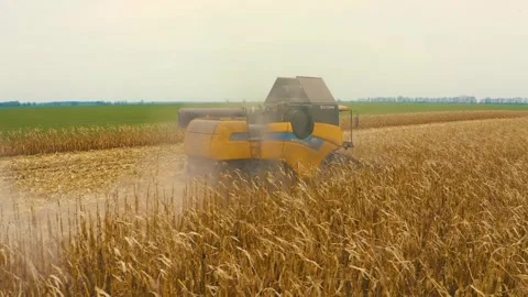 Harvester in the field Stock Footage 255098983