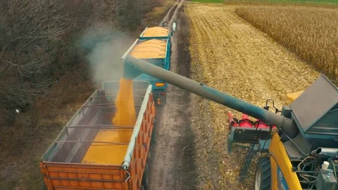 Harvester in the field Stock Footage 255101675