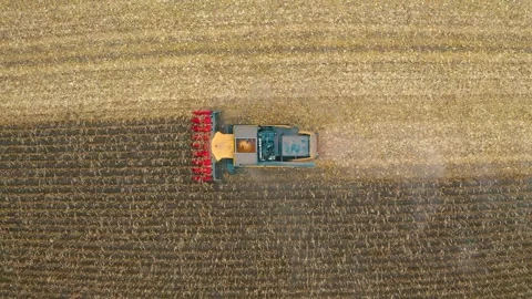 Harvester in the field Stock Footage 255102383