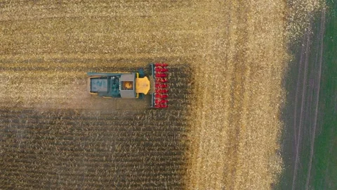 Harvester in the field Stock Footage 255104172