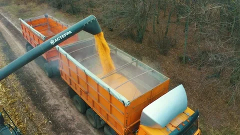 Harvester in the field Stock Footage 255135382