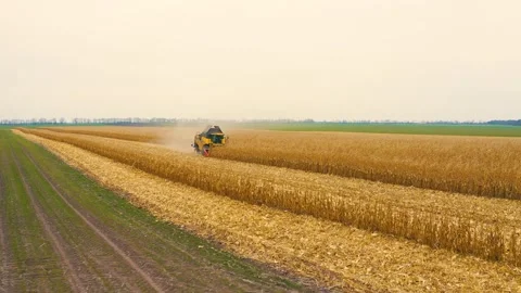 Harvester in the field Stock Footage 255146270