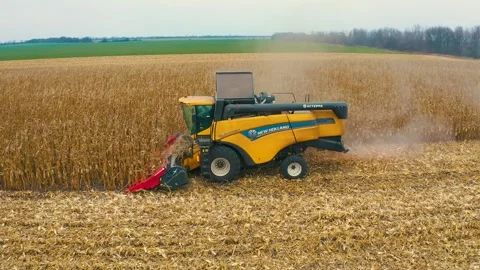Harvester in the field Stock Footage 255153605