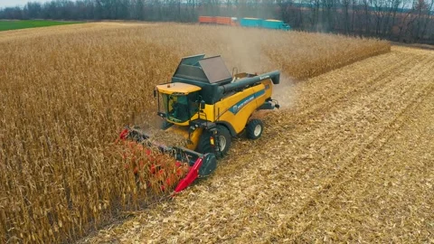 Harvester in the field Stock Footage 255154030