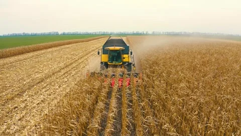 Harvester in the field Stock Footage 255155079