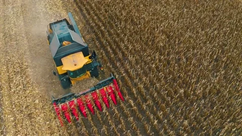 Harvester in the field Stockbeeldmateriaal 255169280