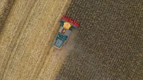 Harvester in the field Stock Footage 255173750
