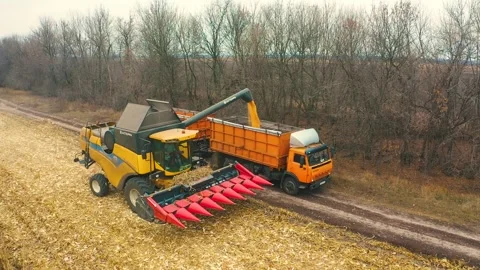 Harvester in the field Stock Footage 255174816