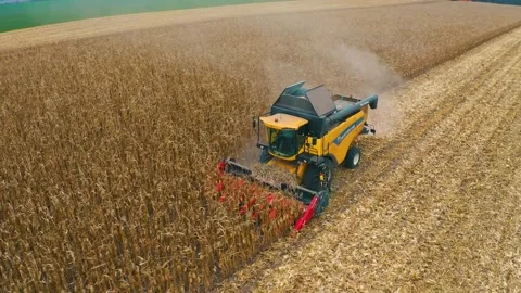 Harvester in the field Stockbeeldmateriaal 255176449