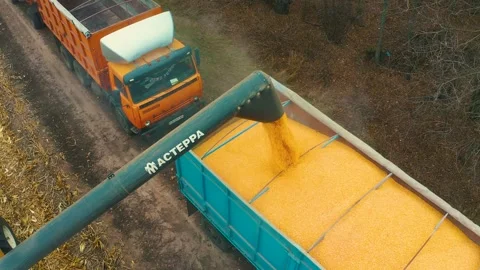 Harvester in the field Stock Footage 255187807