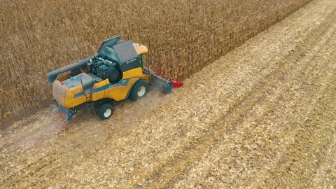 Harvester in the field Stock Footage 255188222