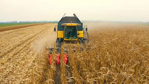Harvester in the field Stock Footage 255188991