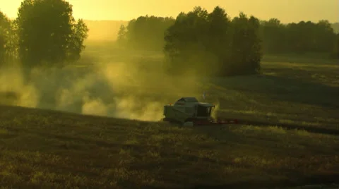 Harvester in a field at sunset Stock Footage 25829046